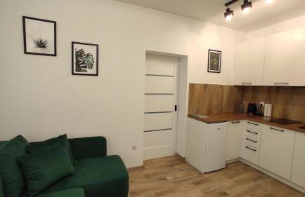 Apartamenty AgPa7 - Foto 7