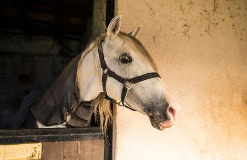 Cascina Canale - Foto 39