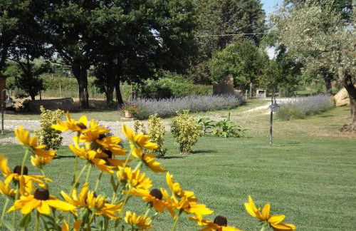 Agriturismo San Giacomo - Foto 55