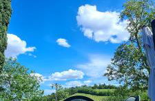 Azienda agricola biologica Le Lucciole - Foto 17