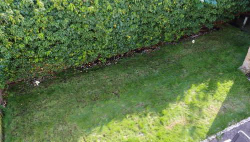 Hampton Court Cottage - Foto 2