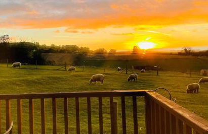 FAIRVIEW FARM Holiday Accommodation 14 Luxury Lodges, Cabins, Dog Friendly, Suitable for Couples, Families and Groups, Wedding Guests , Corporate events, Sleeps 2-65 guests in Ravenshead, Nottingham near Sherwood Forest, set in 88 acres - Photo 16