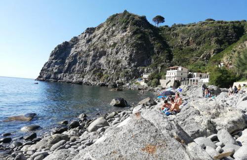 L' Agrumeto - Photo 62