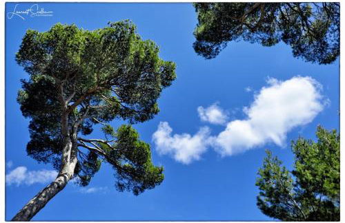 La Cerisaie, maison spacieuse en Lubéron - Foto 35