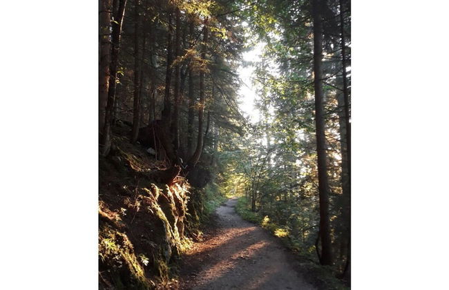 Lovely Apartment in Berchtesgaden - Foto 32