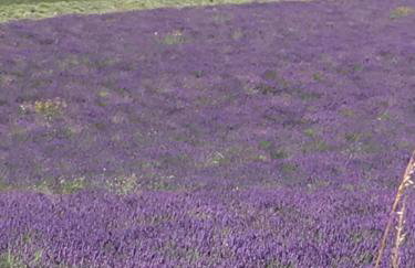 No.10 Broadway - Foto 57