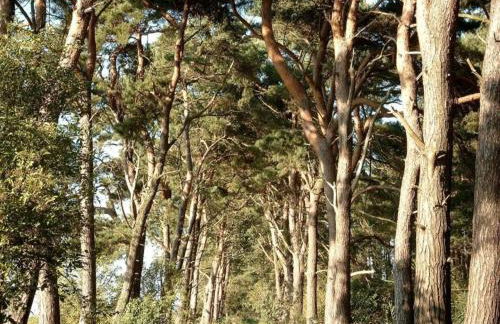 Baltic Sea Views & Cozy Comfort - Foto 33