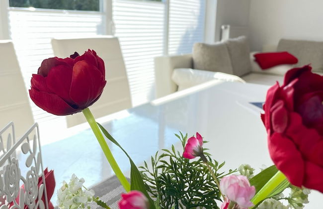 Ferienhof Schulz - Foto 2