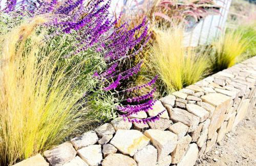 Getaway Retreat Close to Temecula San Diego LA - Foto 5