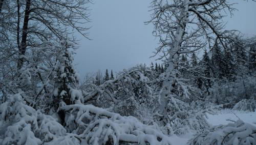 Skiview #103 - Foto 4