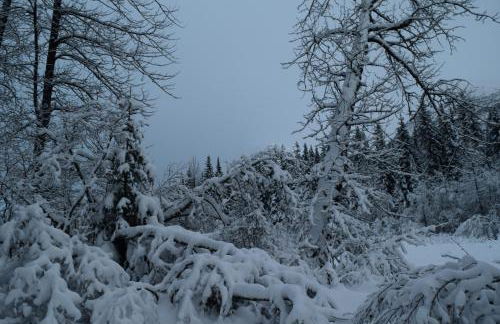 Skiview #103 - Foto 4