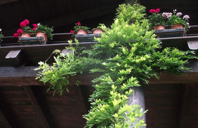 Agriturismo Le Giare - Foto 36