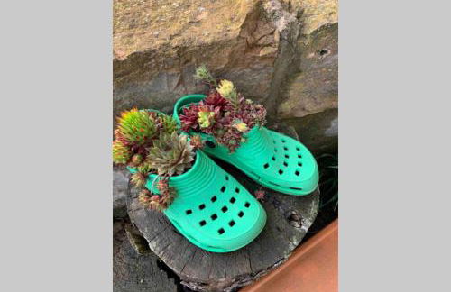 Irenes Tinyhouse - Foto 34