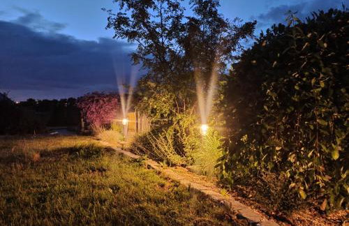 Żuławska Osada - Foto 41