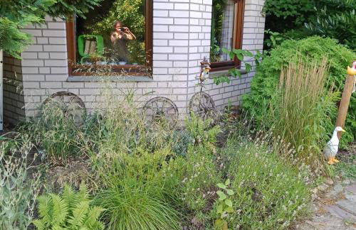 Eifelstube Langerwehe - Photo 22