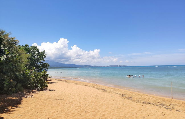 Beachfront Studios - Photo 72