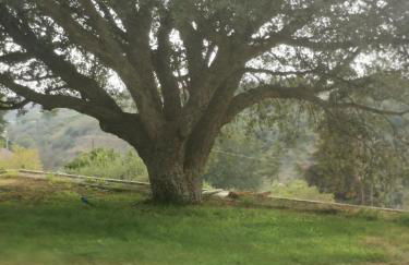 Oasi delle Querce Luxury Home - Foto 33