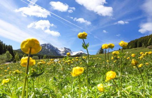 Nice Apartment In Lanzada - Photo 27