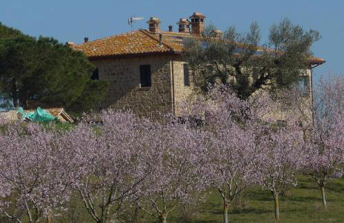 Agriturismo Il Sassolino - Foto 1