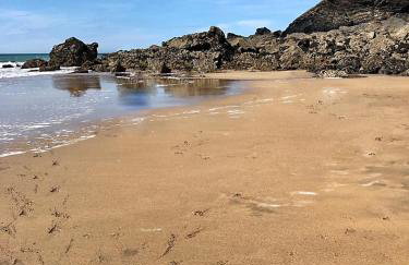 JJs Lodge Holiday Home 14 The Park Bude - Foto 15