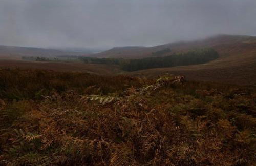 Old country cottage - Foto 24