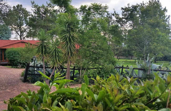 Pine Tree Lodge - Foto 13