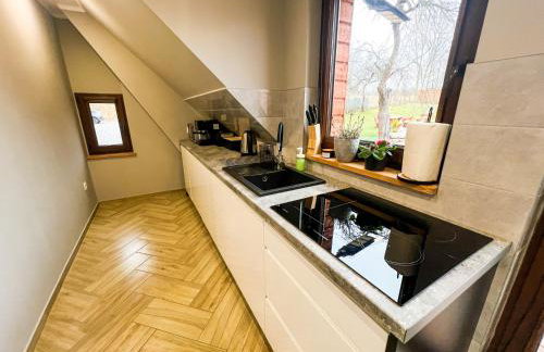 Przycup w Karkonoszach Apartamenty APARTAMENTY W OKOLICY KARPACZA 7 MINUT OD KARPACZA Marczyce SosnówkaKarkonosze, Karpacz, Szklarska Poręba- Sauna Fińska - Foto 13