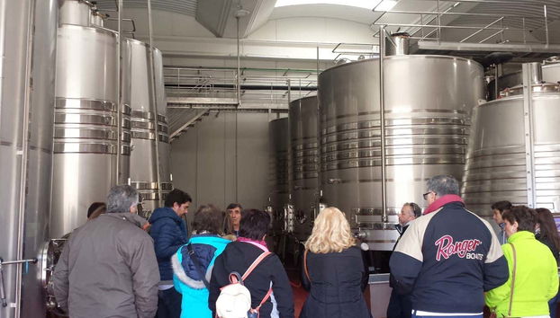 Discover the facilities used to produce the wine