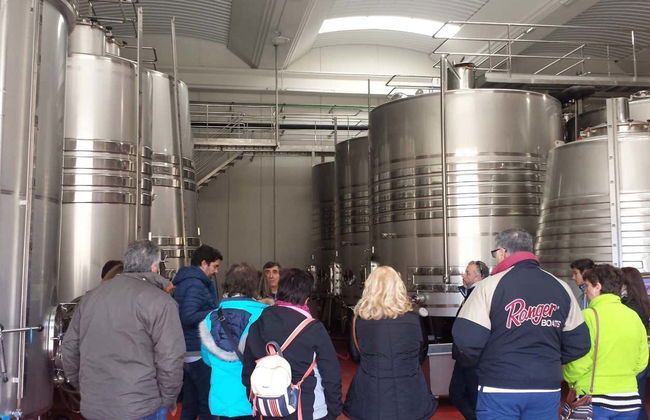 Convento Oreja Winery Visit - Foto 5