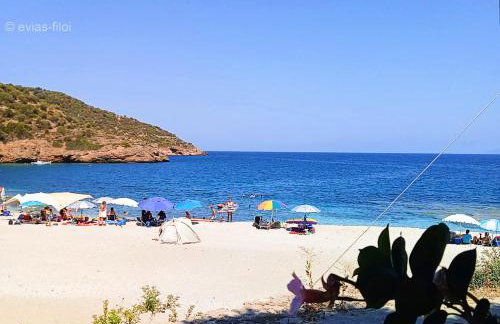 παραθαλασσιο σπιτι στην εξοχη - Foto 37