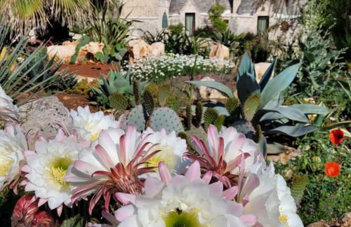 Trullo Bosco Libero Ostuni - Foto 6