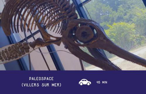 Voilier confortable en bois à cotés des plages et ferries - Photo 26