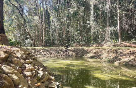 Reserva Atibaia / Casa de Montanha - Photo 52