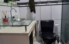 Rose House - Foto 11