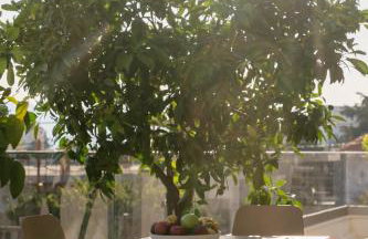 Bona Eterna Timeless Suites - Foto 6