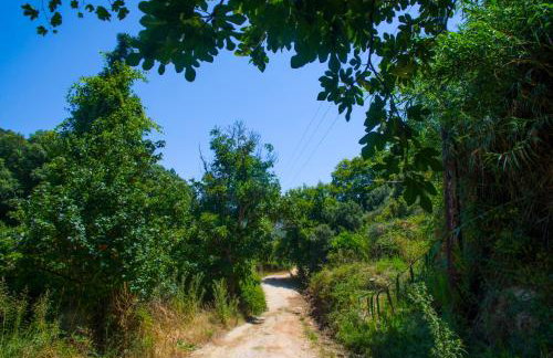 Iris' Traditional Stone House - Foto 36