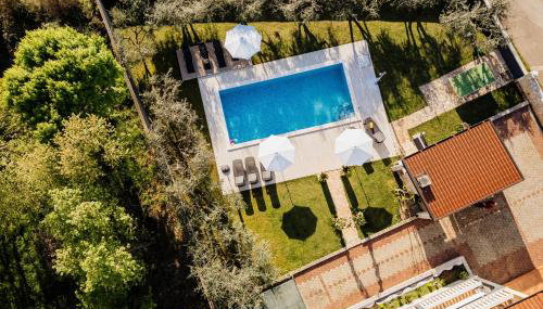 VillaTota - Foto 2, Garden