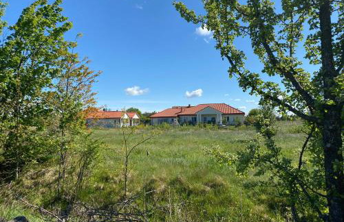 Siedlisko Wytowno - Foto 22