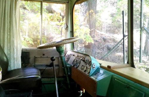Unique Renovated School Bus for Camping in the Klamath National Forest, California - Foto 13