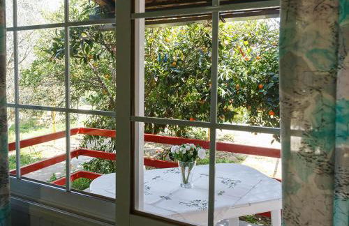 CottonClub Villas - Foto 12