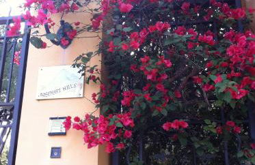 Villa Rosemary - Photo 45