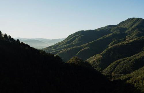 Agriturismo Le Scope - Foto 12