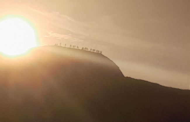 Glowing Mountain view tree house - Foto 45