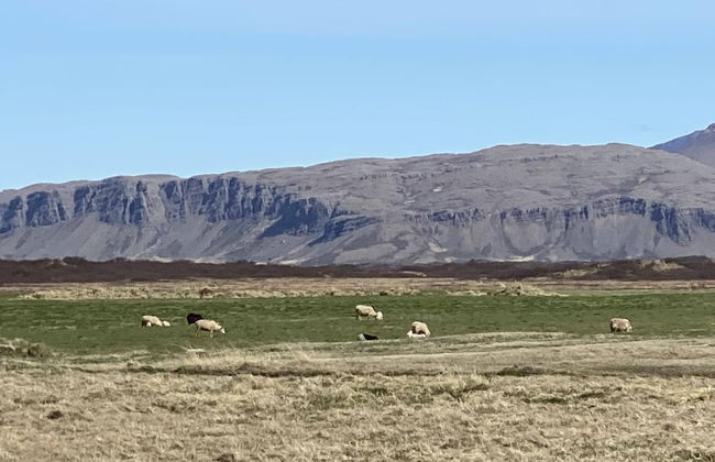 Álftártunga farm guesthouse - Foto 79