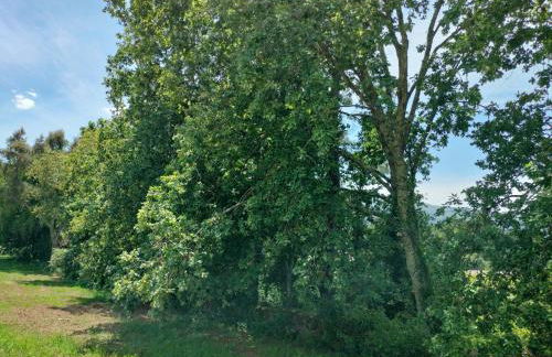 Casa das Bouças - Foto 37