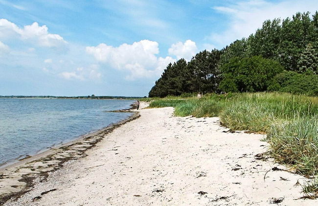 4 Person Holiday Home in Askeby - Foto 18