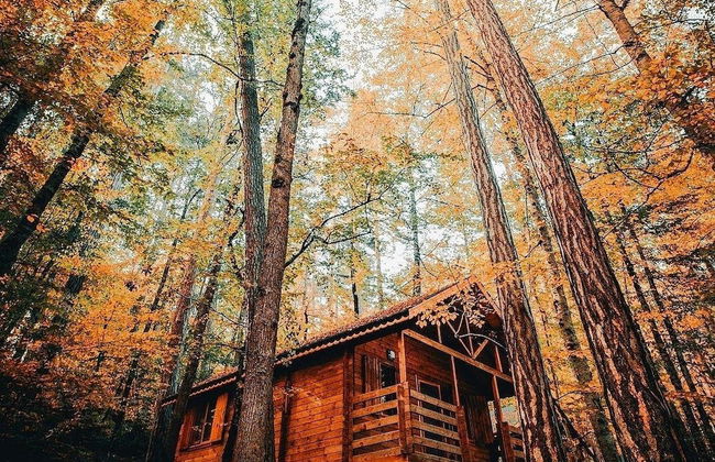 Habitat Mesire Evleri - Foto 36