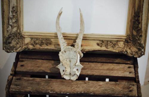 Bridgend Cottage, Auchencairn, Castle Douglas - Foto 17