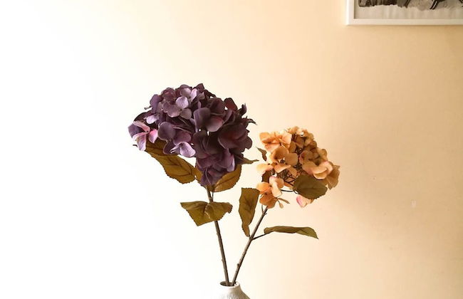 Aparta Hotel Tocancipa - Photo 24