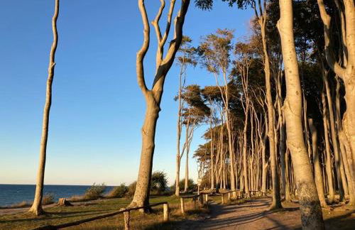 Gemütliche FeWo mit Balkon nahe der Ostsee - 2 Schlafzimmer - Foto 36